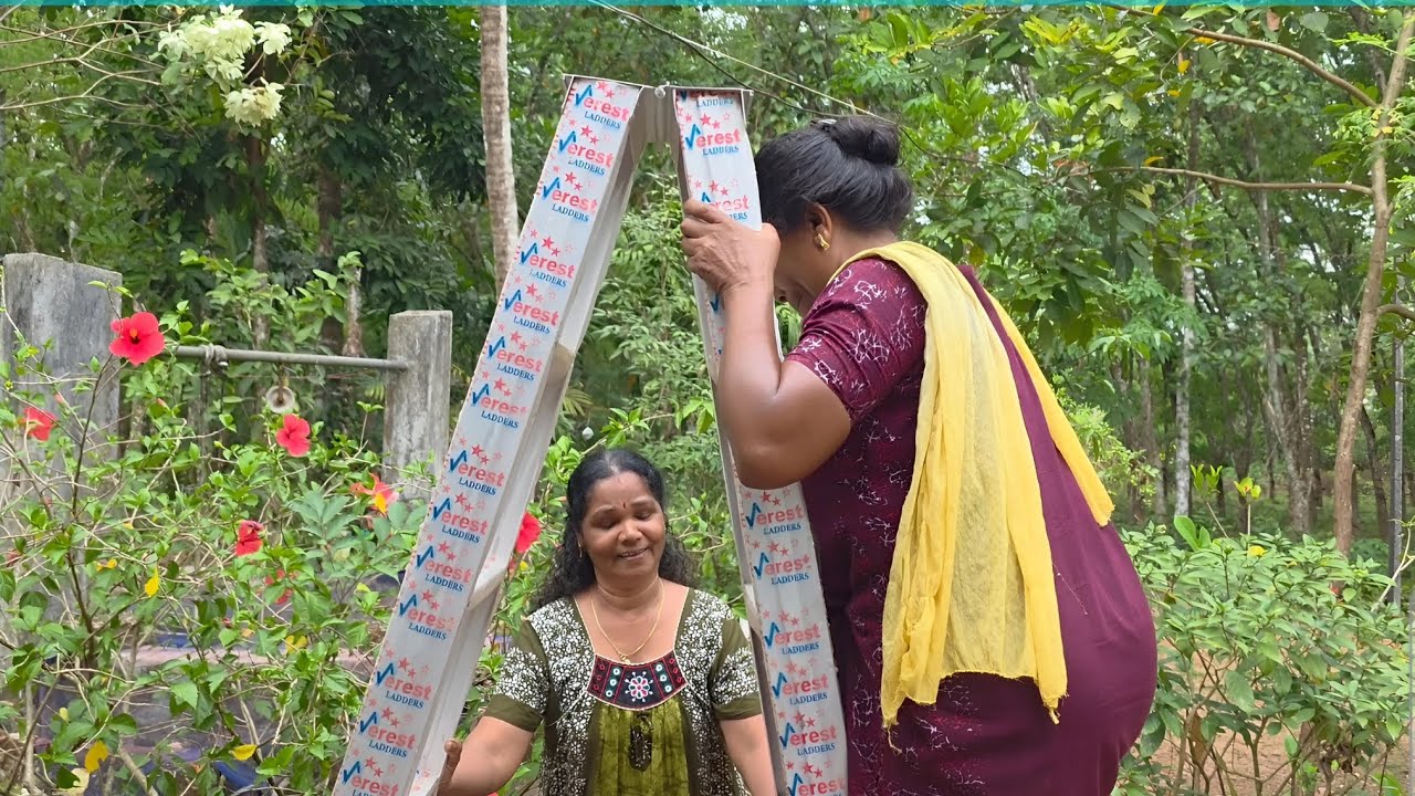 ഒരു സഹായം ചോദിച്ചതാണ് 😁