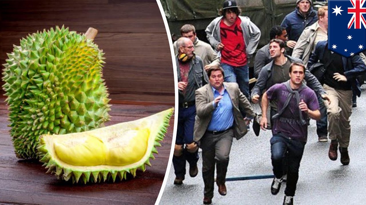 Durian causes college evacuation: Gas leak or rotten fruit? - TomoNews