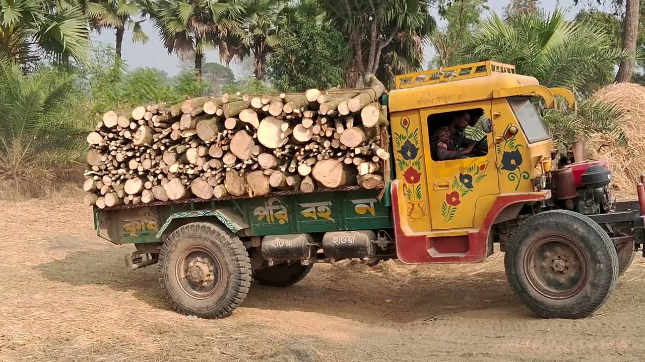 Amazing power Kuttha Gari কুত্তা গাড়ি Amazing power #trolley #mini_power_tille #Sagor_skhushi