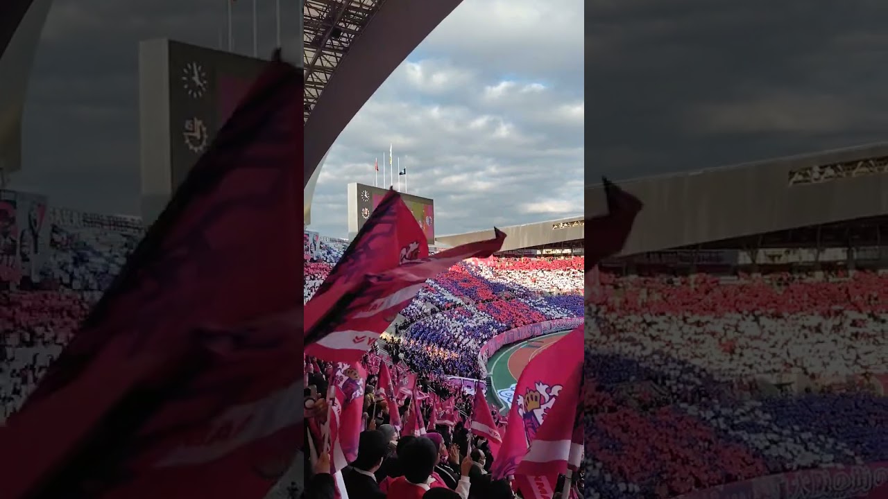 2026J1開幕戦in長居🌸選手入場時のｺﾚｵ #セレッソ大阪　#セレッソ　#CerezoOsaka　#コレオグラフィ