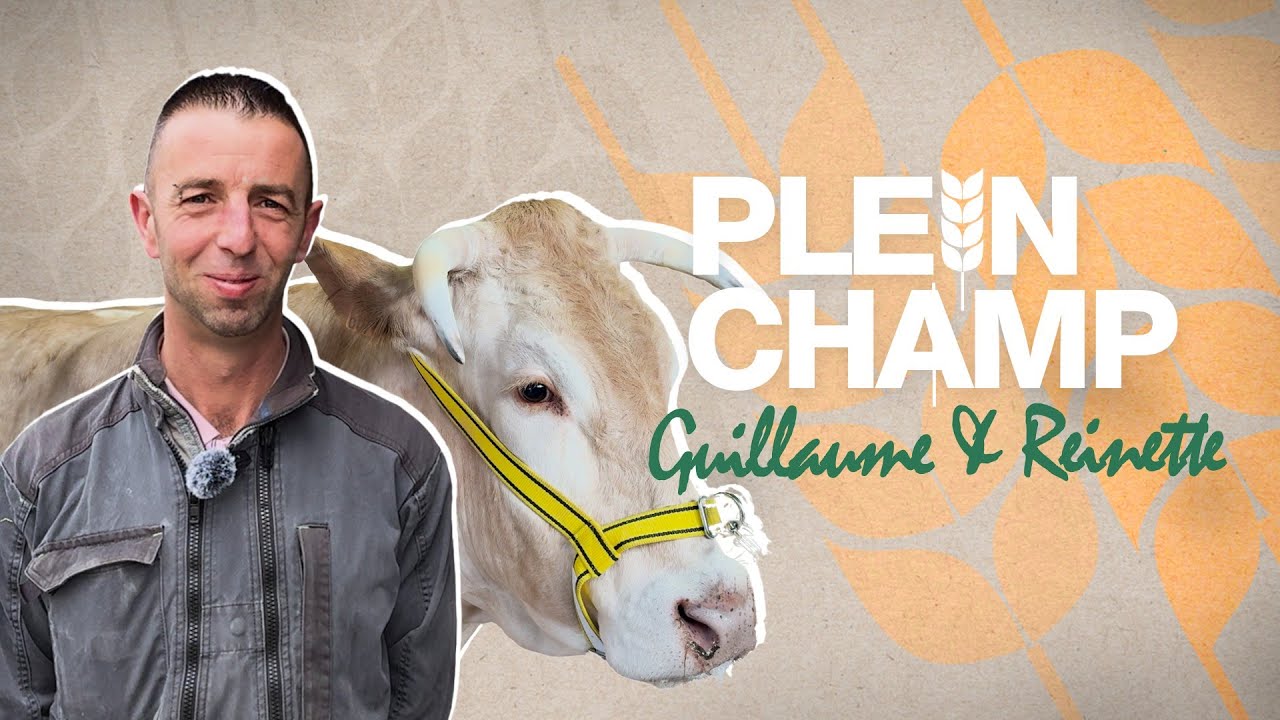 Salon de l'agriculture : on a suivi la vache Reinette, de sa ferme au podium🌾[PLEIN CHAMP EP.2]