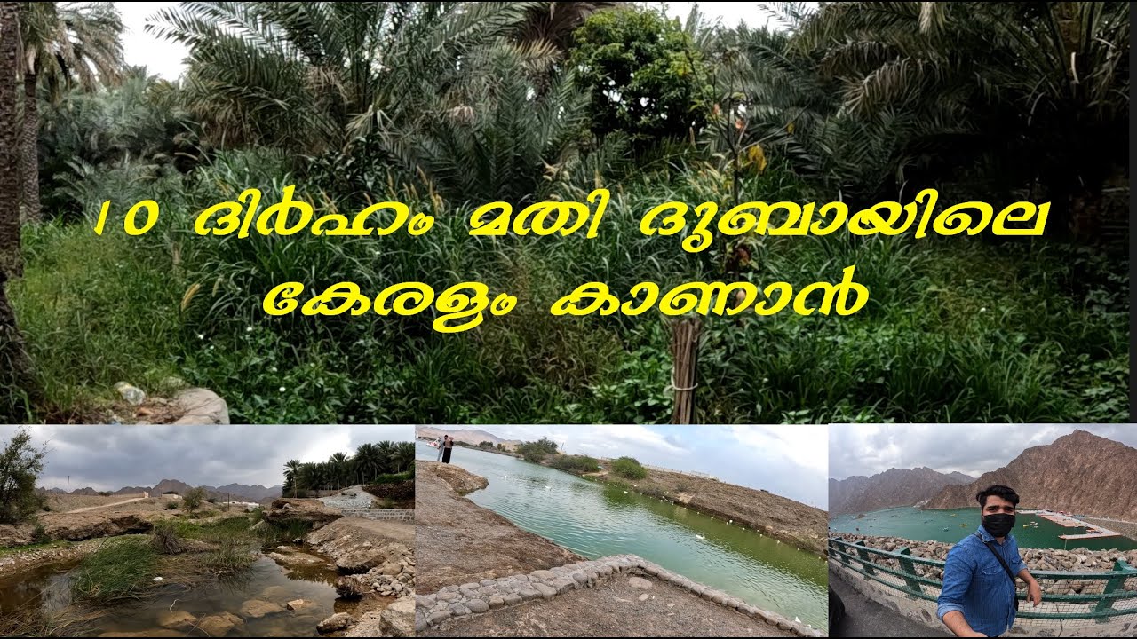 ഇത്രകാലമായിട്ടും ഇവിടെ വരാഞ്ഞത് തീരാനഷ്ടം | Hatta Village Explore | Part-3 | Hatta Dam | Farm route