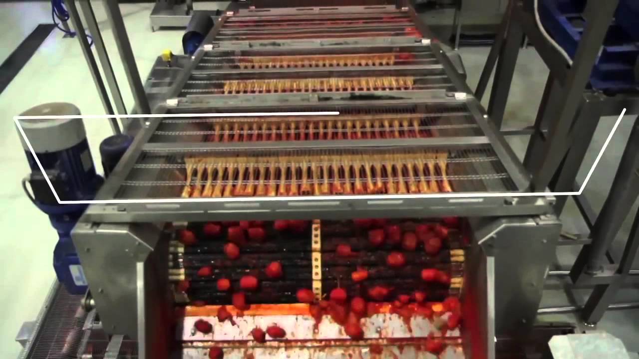 Линия по переработке овощей - томаты (Tomato diced line) 