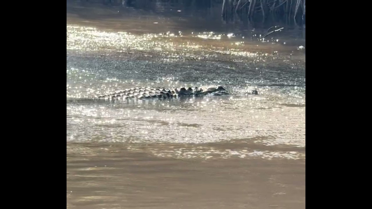 Everglades in Florida