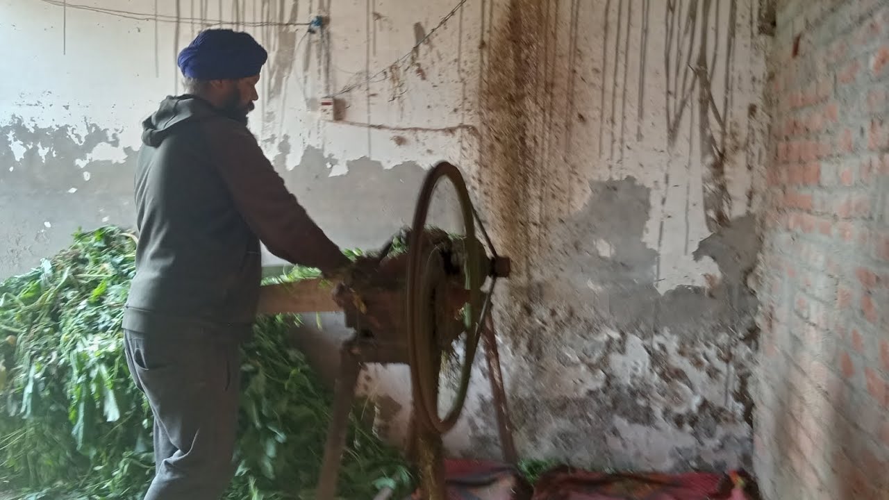 ਪਸੂ਼ ਰੱਖਣ ਦਾ ਸ਼ੌਕ ਕਿੰਹਨੂੰ ਕਿਹਨੂੰ ਆ,#animallovers #punjabi #farming #pb32wale 