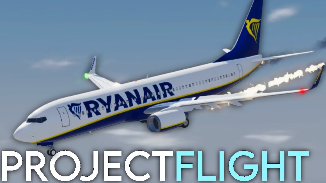 Если бы пилоты летали так, как думают пассажиры #projectflight | #aviatorr1zz