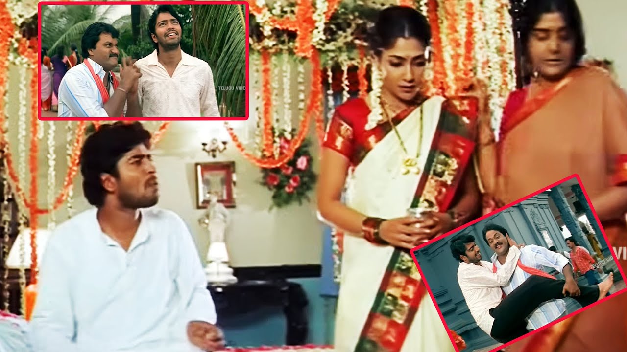 Allari Naresh, Kamalinee Mukherjee , Sunil, Bhanupriya, Best Movie  Comedy Scene | @TeluguVideoZ