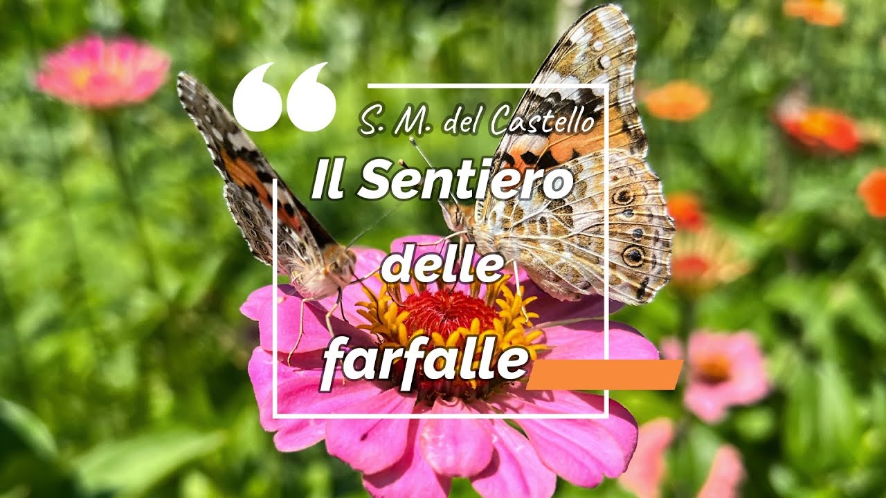 Il Sentiero delle Farfalle - Amalfi & Sorrento Coast - Sentiero Italia CAI 300 - in 4K