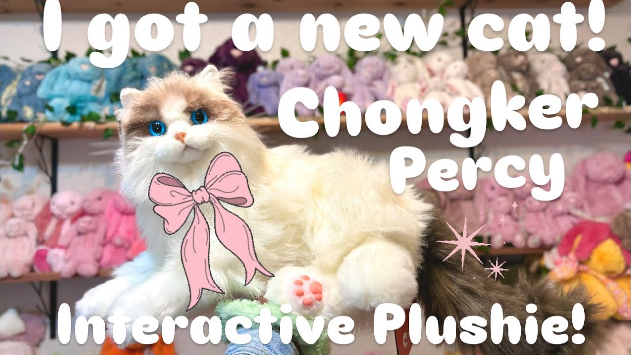 🎀ЧОНКЕР~ПЕРСИ🎀 ✨Самый реалистичный робот-кот! Я в восторге!✨