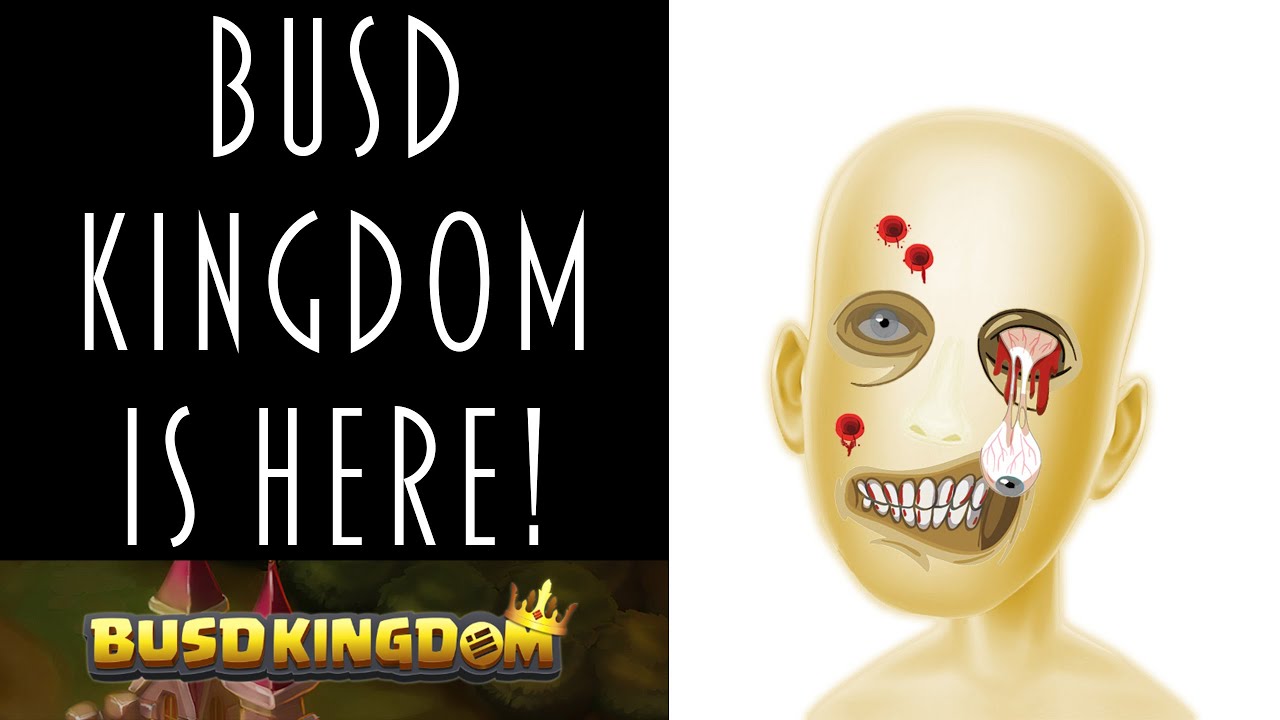 BUSD KINGDOM REVIEW AND HOW TO GET STARTED!
