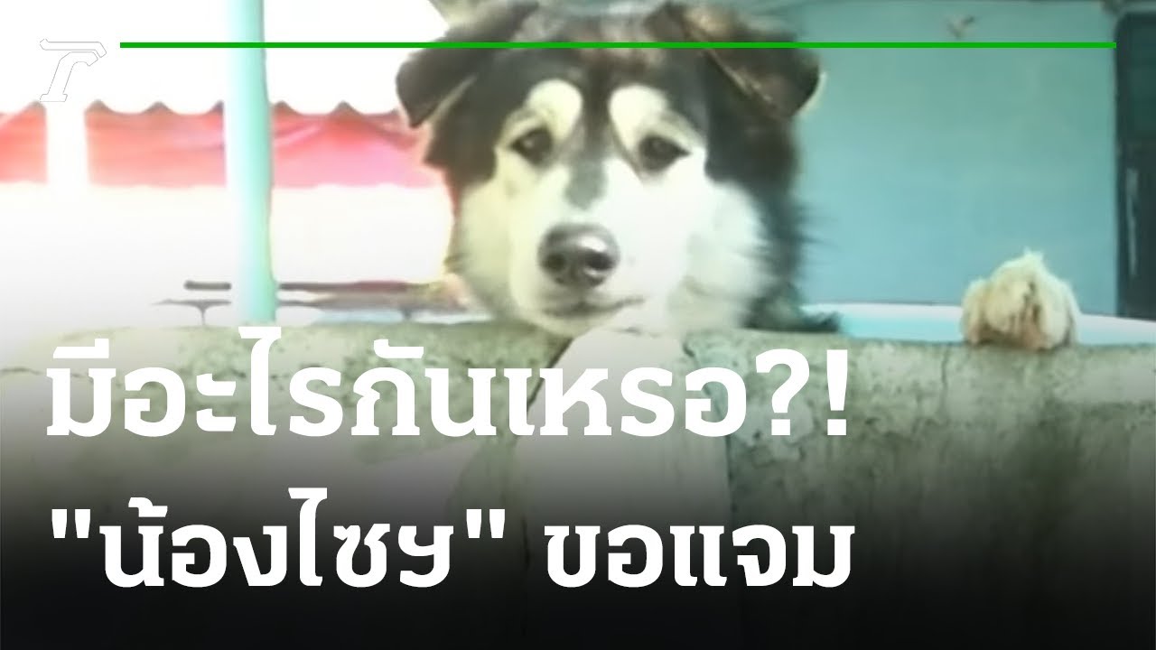 มีอะไรกันเหรอ? 