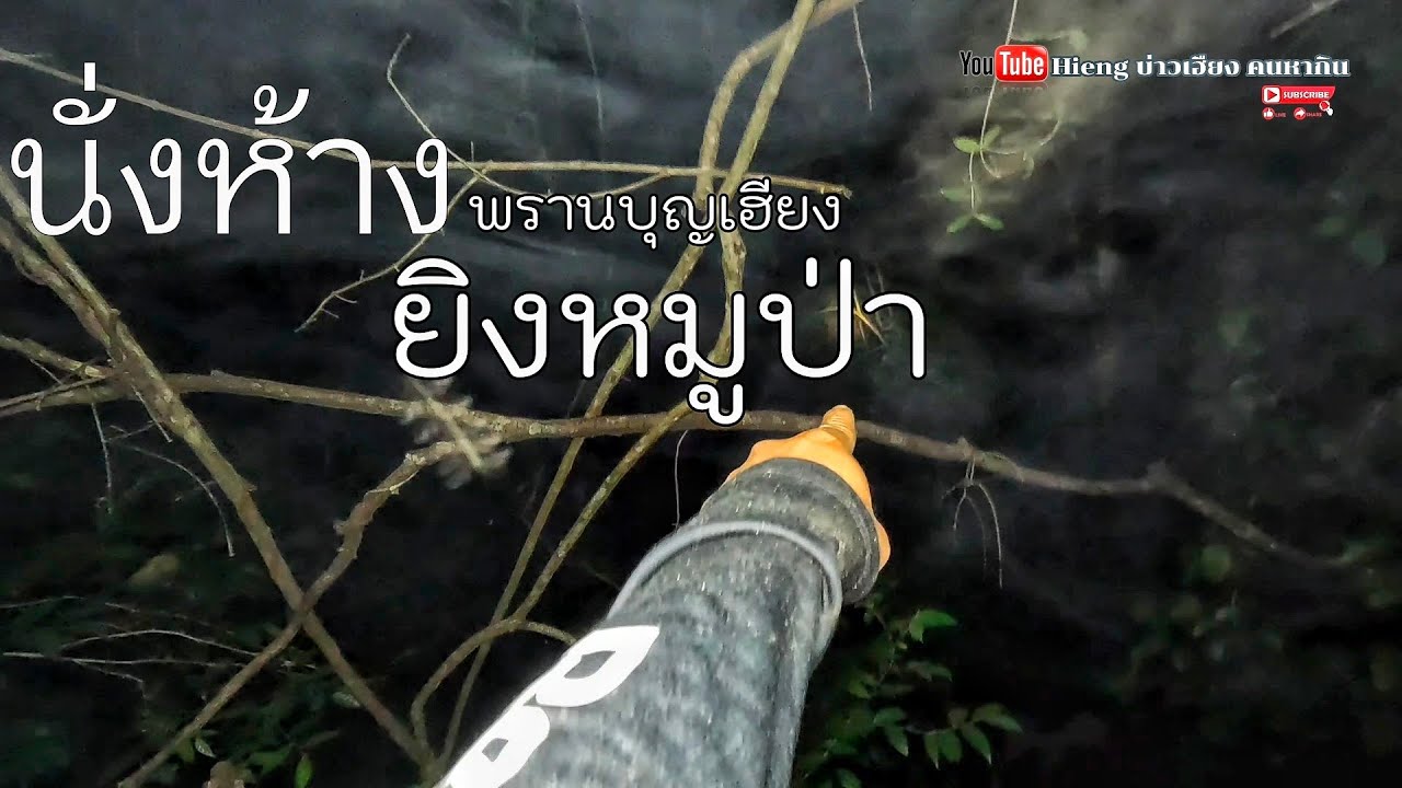นั่งห้างพรานเฮียงยิงหมูป่า//ນັ່ງຫ້າງພານຮຽງຍິງຫມູປ່າ Hieng บ่าวเฮียง คนหากิน