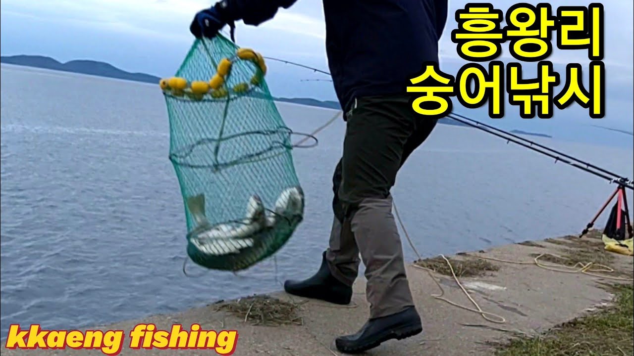 (강추)강화도낚시 /숭어낚시/ 흥왕리 저수지 앞 뚝방 gray mullet