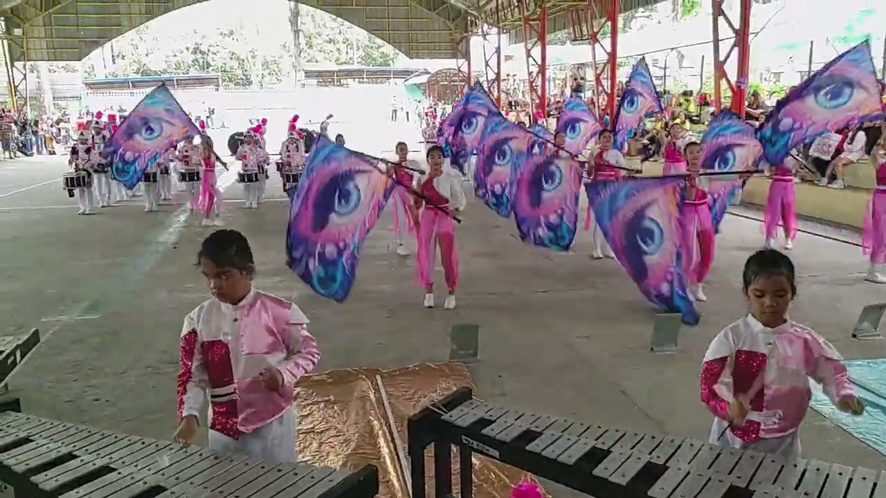 Tala Elementary School CHAMPION!! | DLC | District lll 2026 