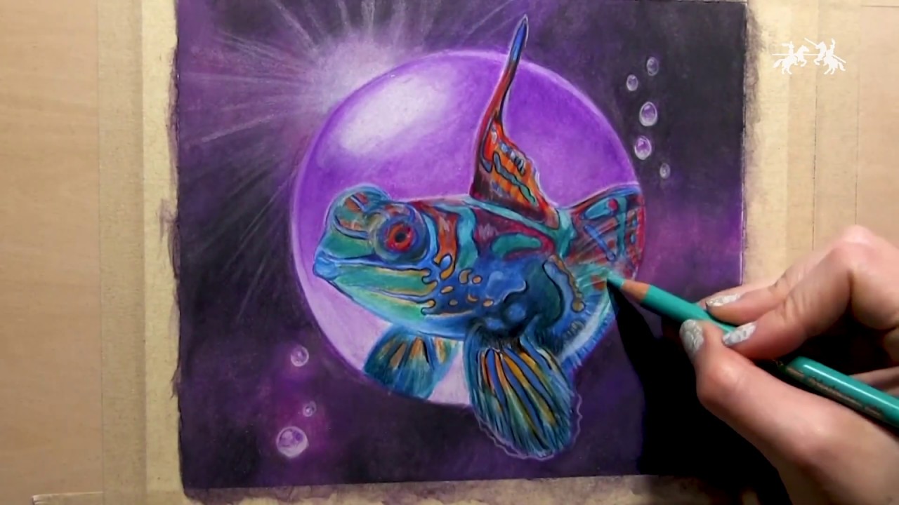 How to Layer & Blend Color Pencils - Create a Vibrant Fish with Faber-Castell Polychromos