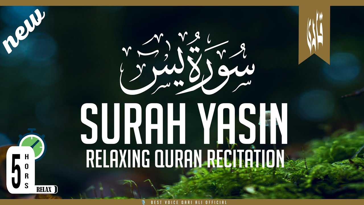 Surah Yasin Full (سورۃ یس) Surat Yaseen with urdu translation | Quran tilawat beautiful voice 
