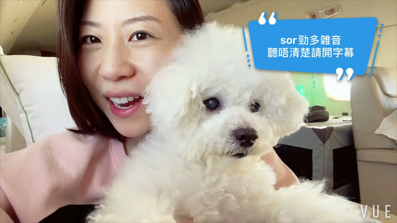 【🐶童顏熟狗女】寵物移民｜私人飛機｜香港往英國🇬🇧｜含洋蔥（利申：我好易喊）