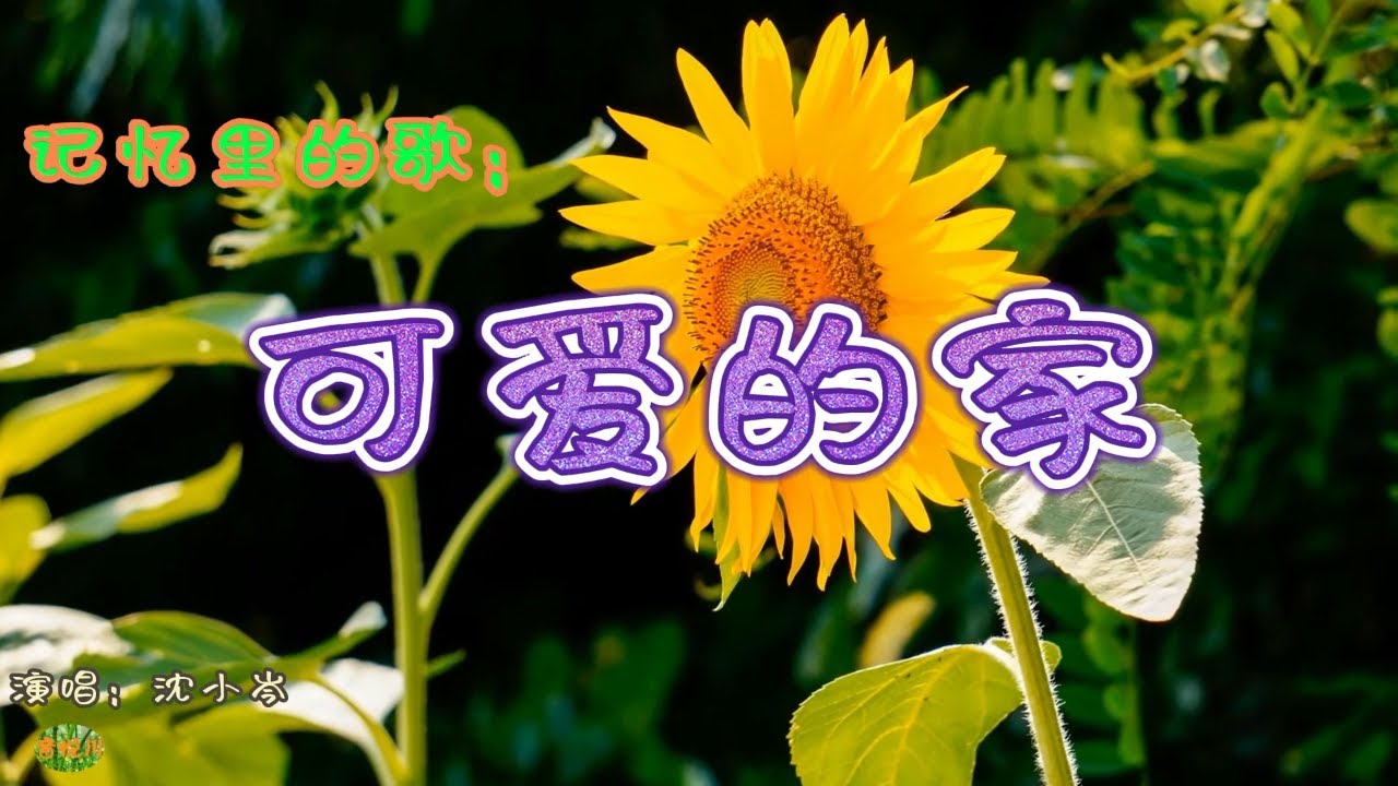 可爱的家 - 记忆里的歌。演唱：沈小岑