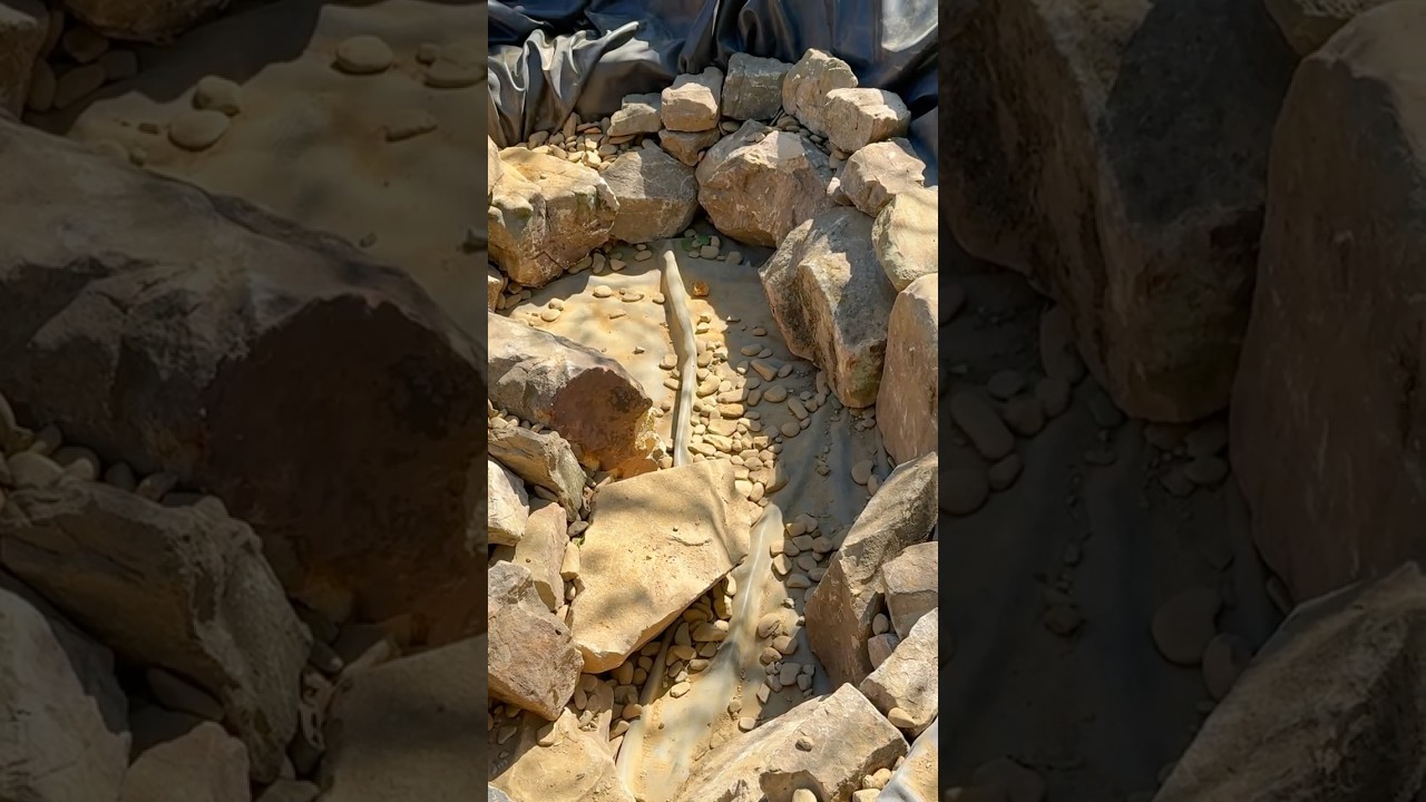 Why Stone Placement Can Make or Break Your Pond Build!🪨🪷⛏️ #gardeningtips #landscapedesign