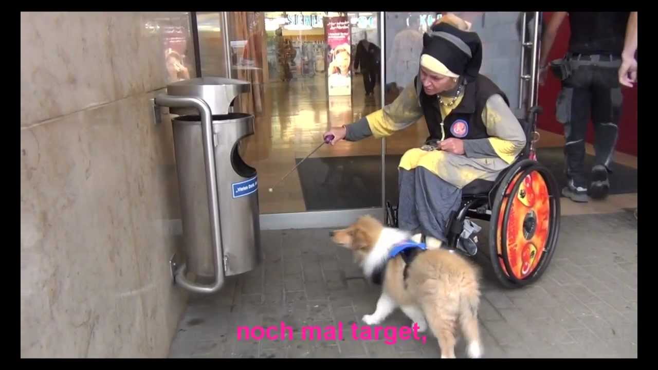 Hundetraining mit Filiz Erfurt