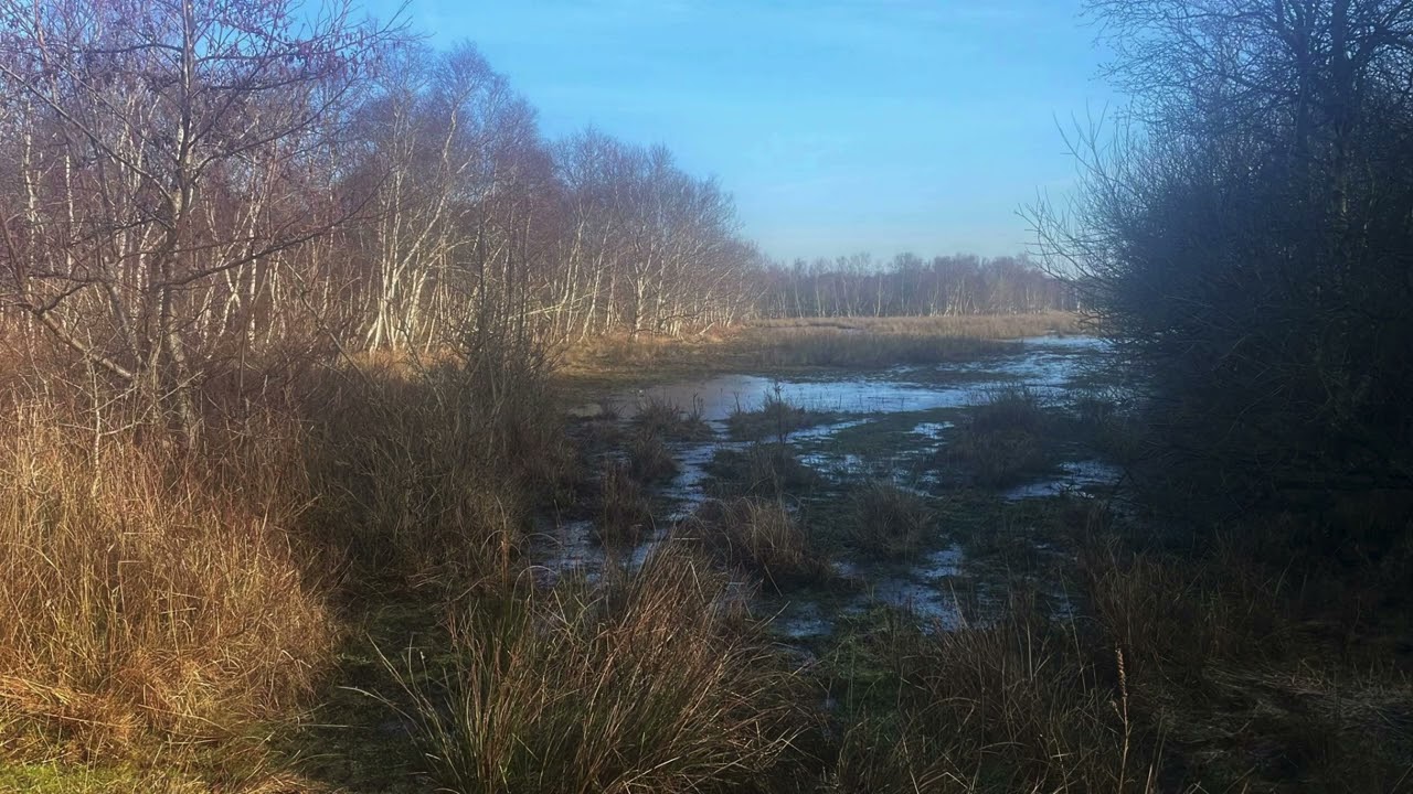 Nationaal park Schiermonnikoog Struinen op een waddeneiland