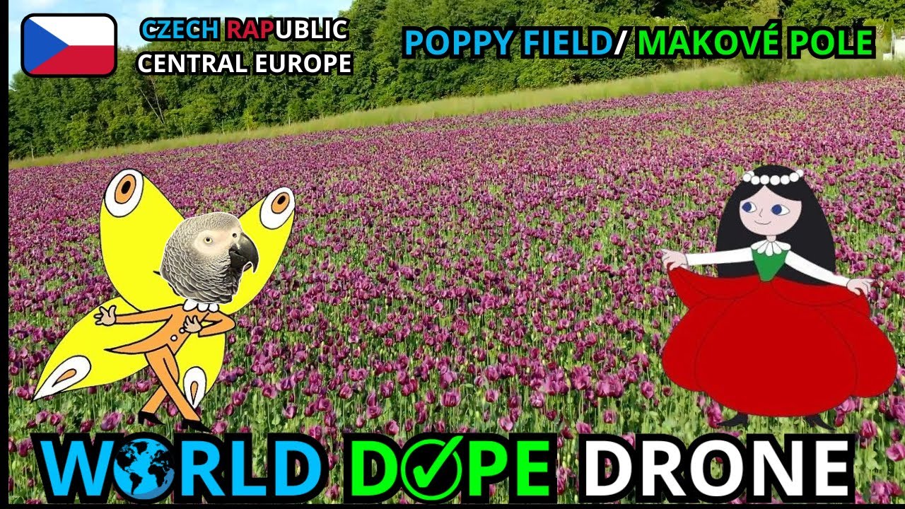 🚁 Makov&eacute; pole | MAKOV&Aacute; PANENKA & MOT&Yacute;L DRONEMANUEL REMIX | Cinematic Chill OPIUM FIELD🎶🌺 CZECH RAP