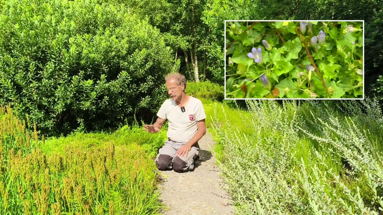 Plant en zijn verhaal