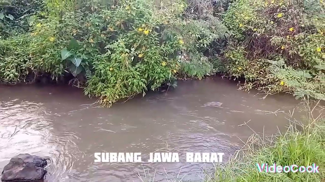 ✅Tanah strategis, pinggir jalan raya provinsi ‼️Dapat view ✨OK ✨aliran sungai di lahan nya
