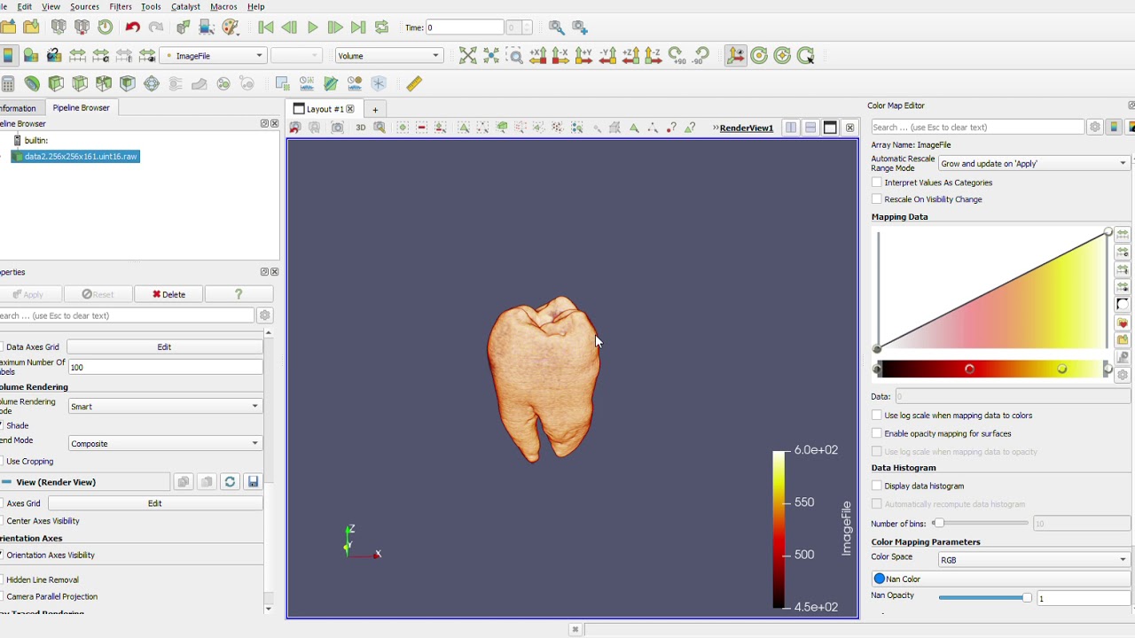 Paraview Volume Rendering of Tooth