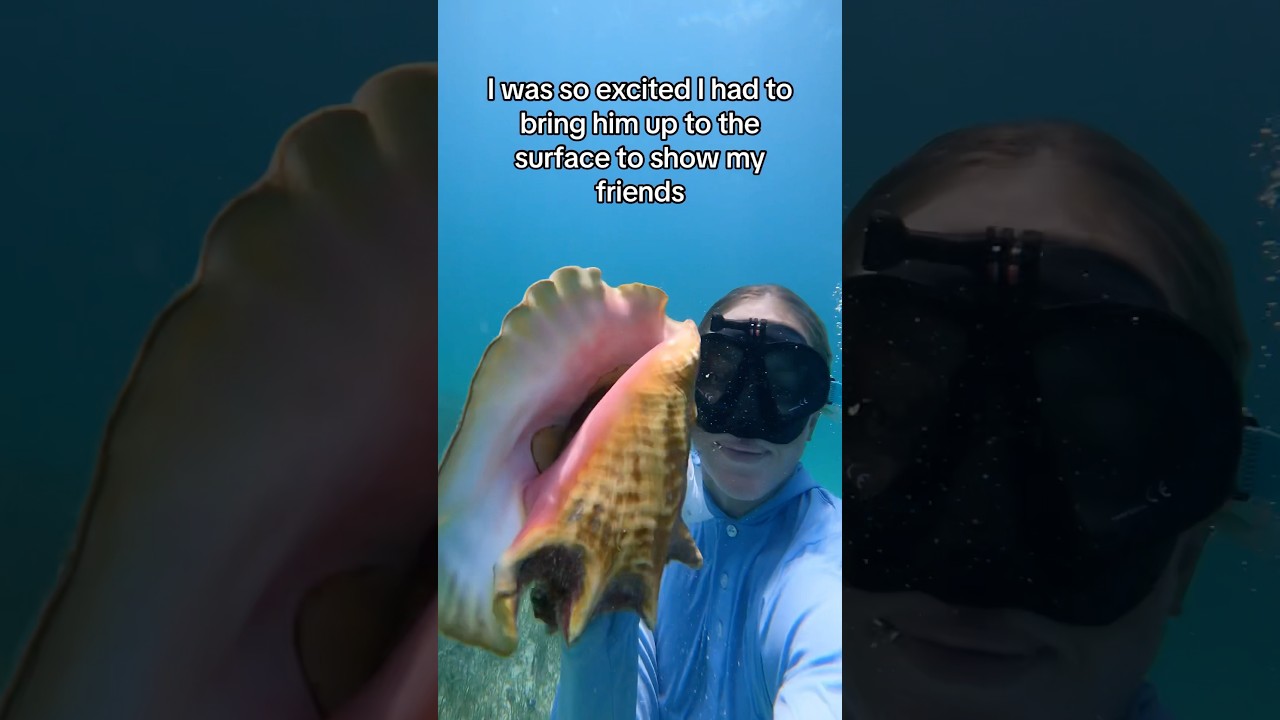 Did you lose your hat?!? #underwater #ocean #fish #shells #lobster #hat #treasure #conch #snorkel