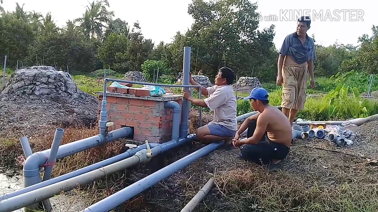LẤP ĐẶT HỆ THỐNG TƯỚI SẦU RIÊNG TỰ ĐỘNG MÔ TƠ 2HB ỐNG CÁI 90..