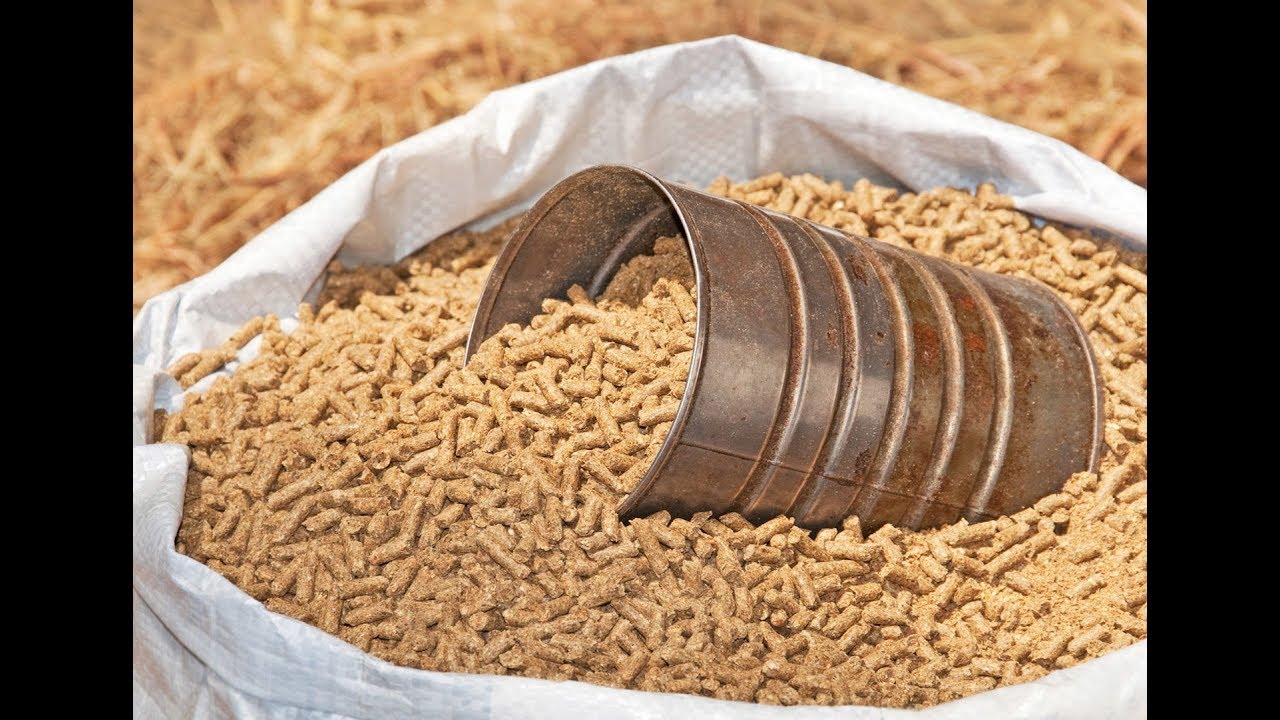 Кормление червя комбикормом. Вмешиваем комбикорм в торф.