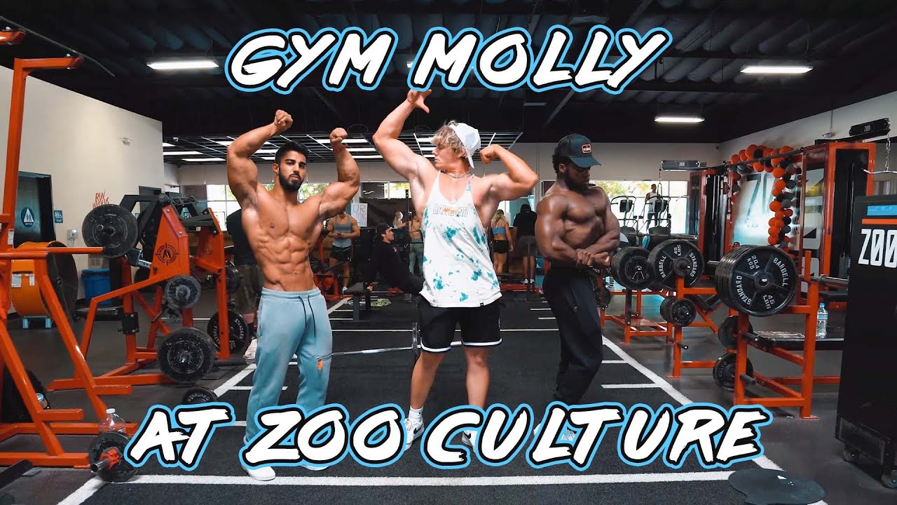 Zoo Culture 3 Day PR Challenge with the Gym Molly Crew