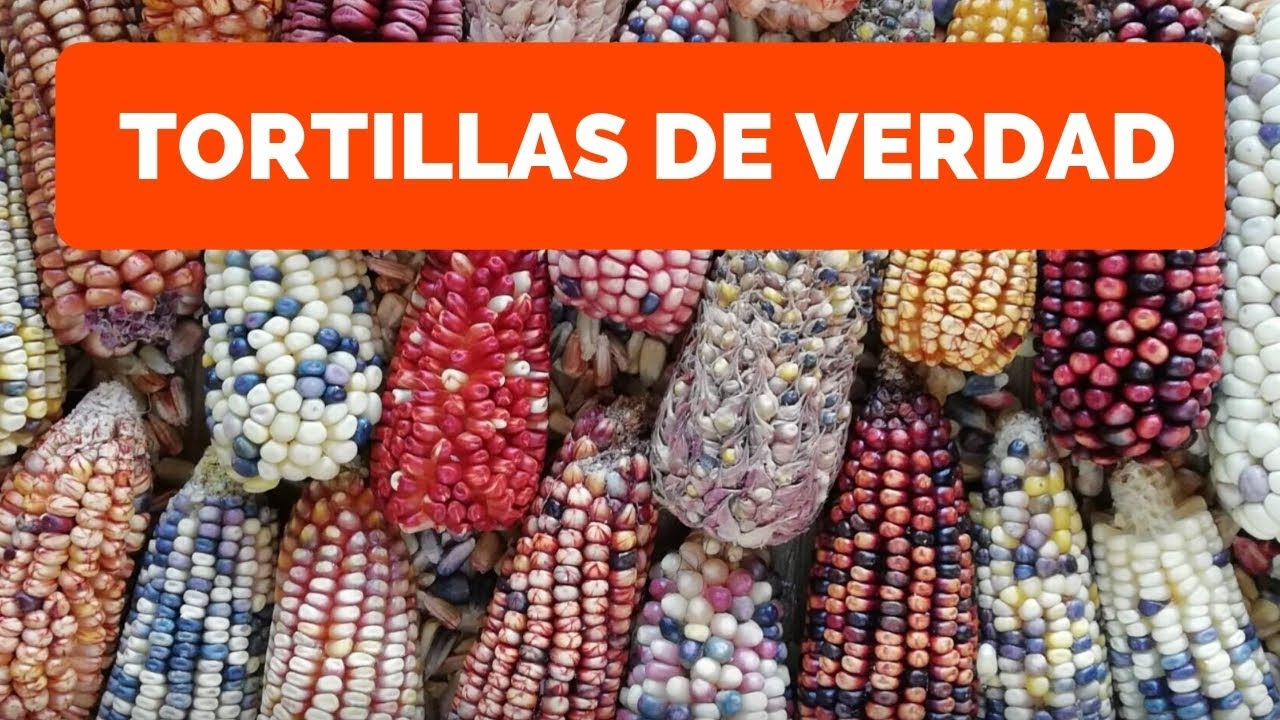 CAL Y MAÍZ - Tortillas de verdad en CDMX