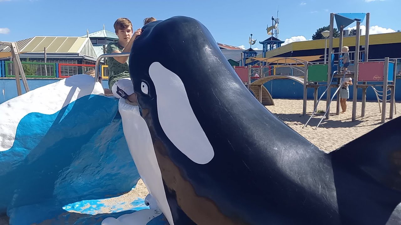 ALLE GLIJBANEN bij Dolfinarium!!