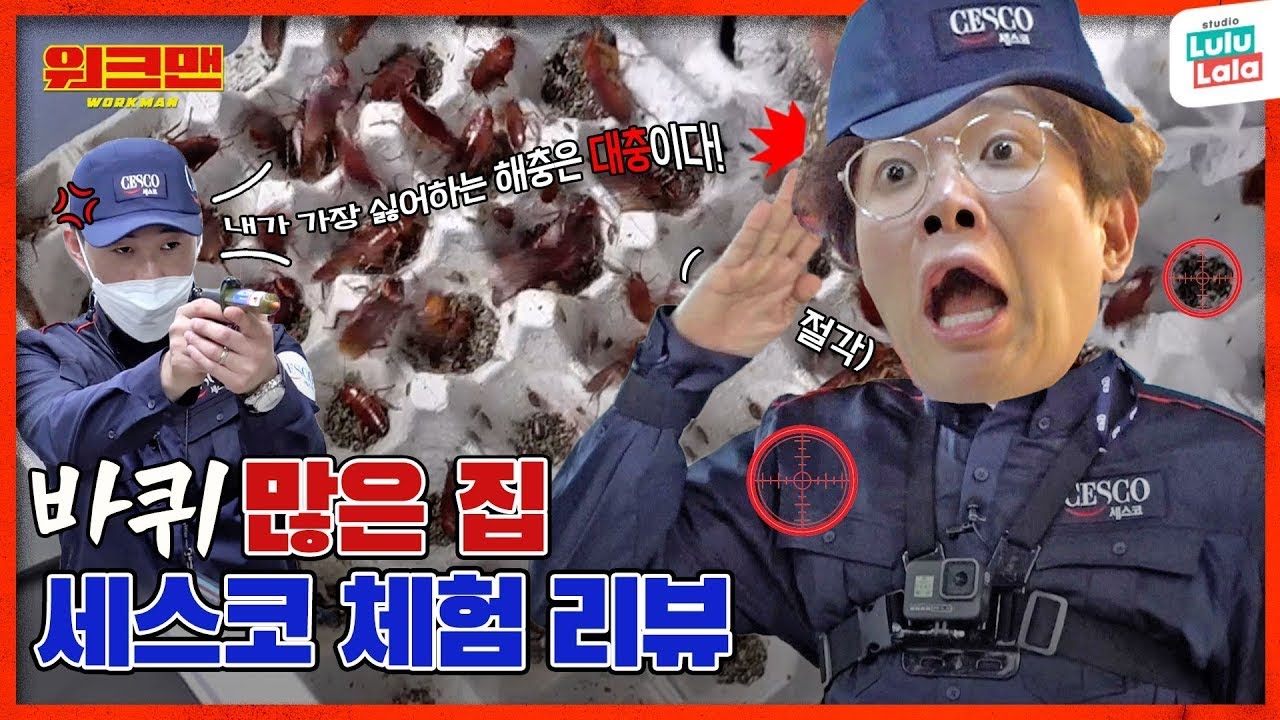 [EN] 바퀴달린 입 아니고 바퀴많은 집 다녀왔습니다. tlqkf... | 세스코 | 워크맨 ep.151