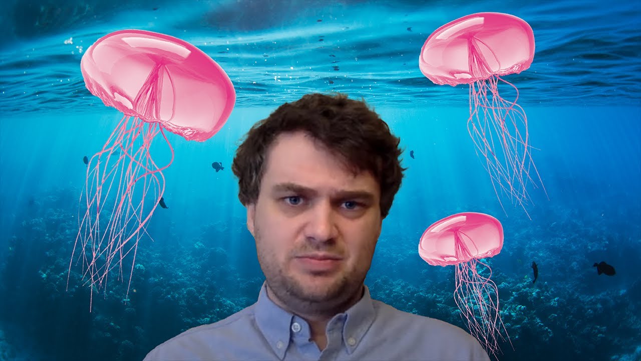 Jellyfish Scientist vs. Little Mermaid | PhD Candidate Hayden Speck | Silly Questions, Smart Bruins