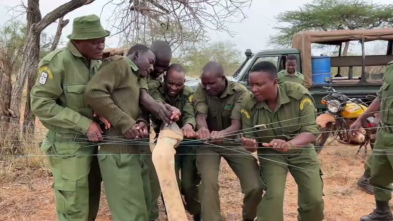 WILDLIFE WORKS RANGERS TRAINING