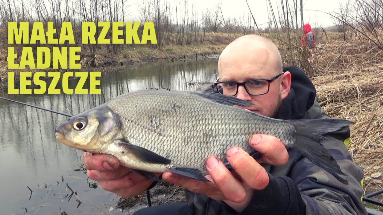 ŁOWIENIE RYB NA SPŁAWIK 2023 | BAT RZEKA PSZCZYNKA