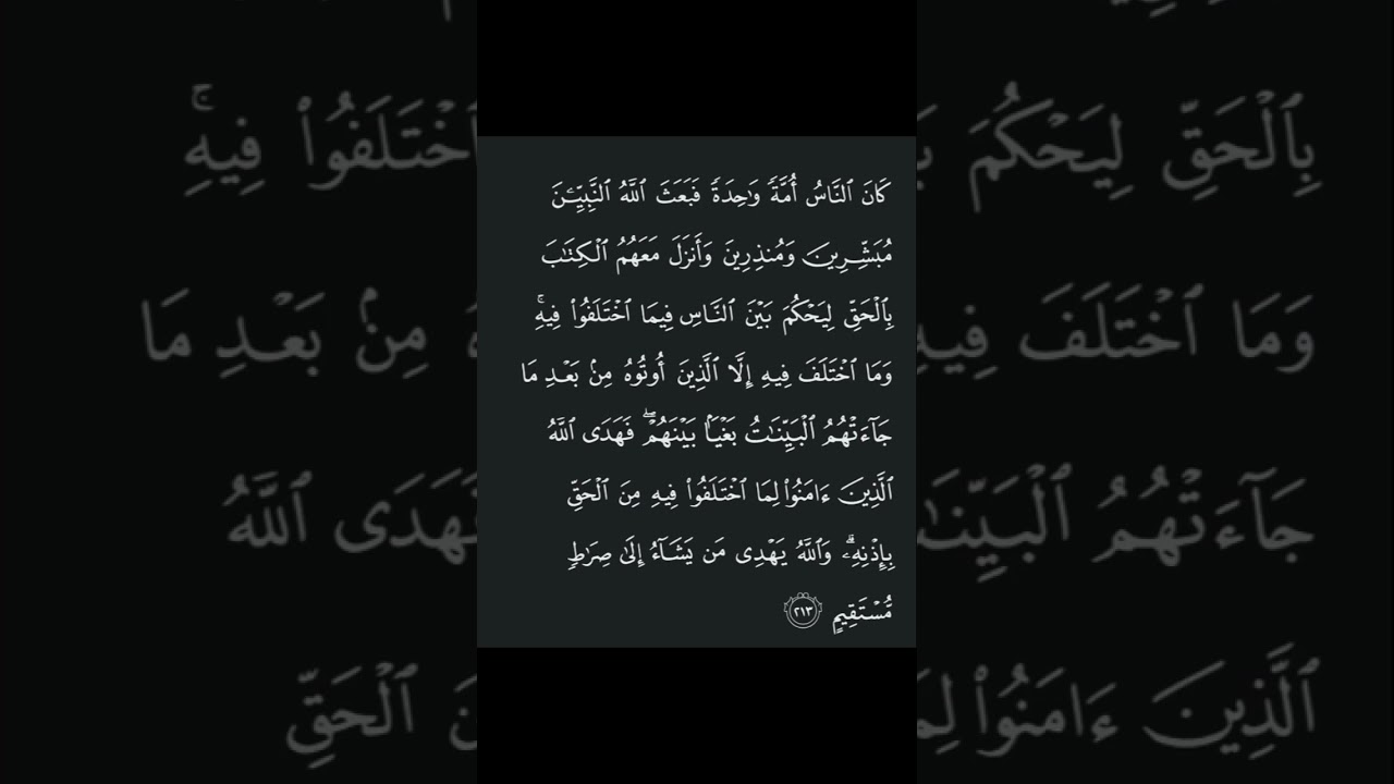 Surah baqarah Ayat 213 #shorts