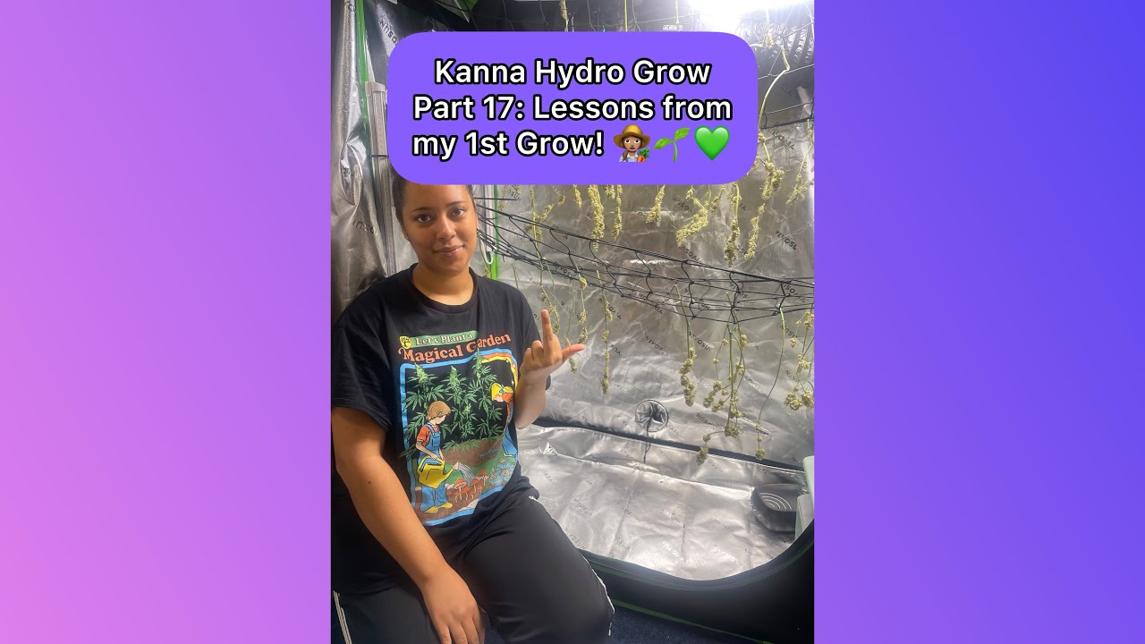 Cannabis Hydro Grow Part 17: Lessons from my 1st Grow! 👩🏽&zwj;🌾🌱💚 (January 11th 2024)