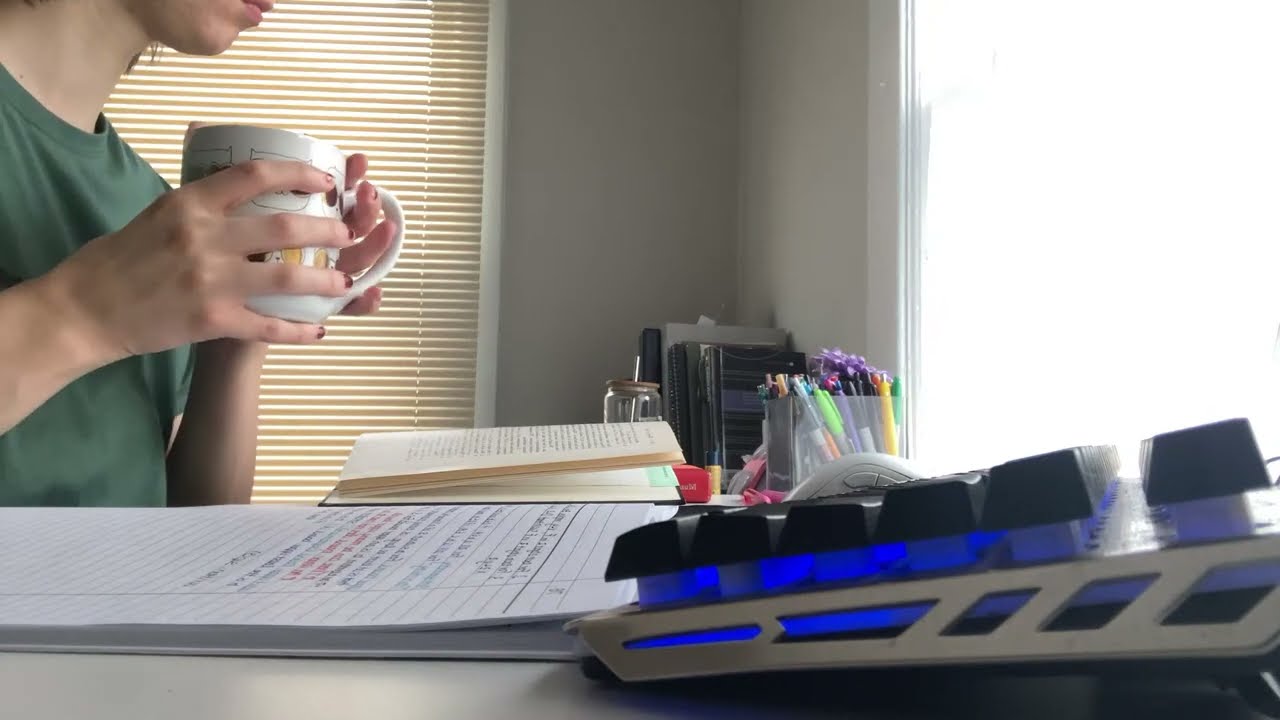 productive snowy morning  ❄️ 📚☕️
