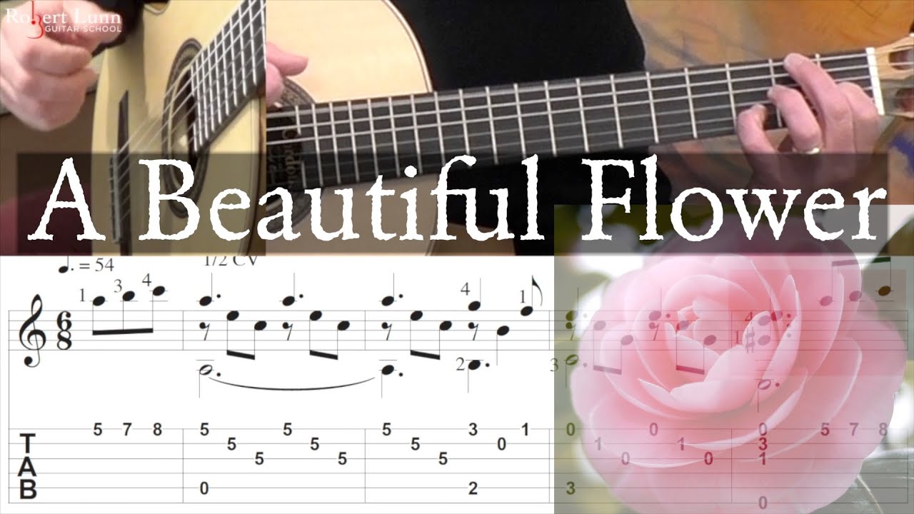 A BEAUTIFUL FLOWER - Full Tutorial with TAB - Robert Lunn - Classical Guitar