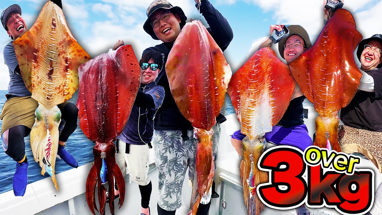 【神回】４年間追い求めた怪物級のアオリイカがまさかの大爆釣！！【離島生活#50番外編】
