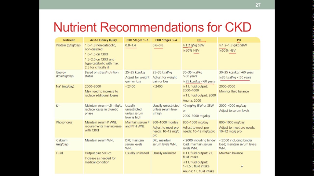 MNT CKD Part 3 Nutrition Therapy