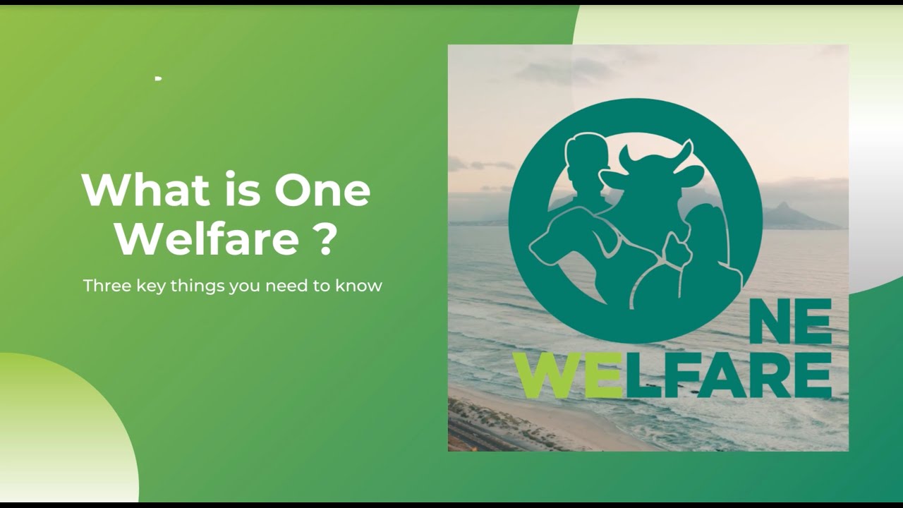 What is One Welfare ? Three key things you need to know