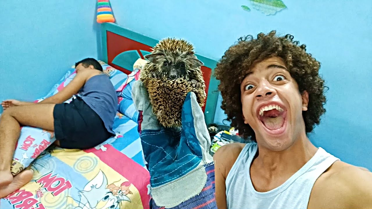 مقلب حطيت قنفذ مليان شوك على اخويا وهو نايم مش هتصدقو عمل ايه لما شافو