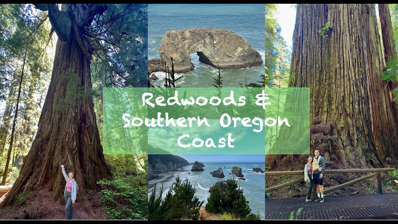 Redwoods/Southern Oregon Coast