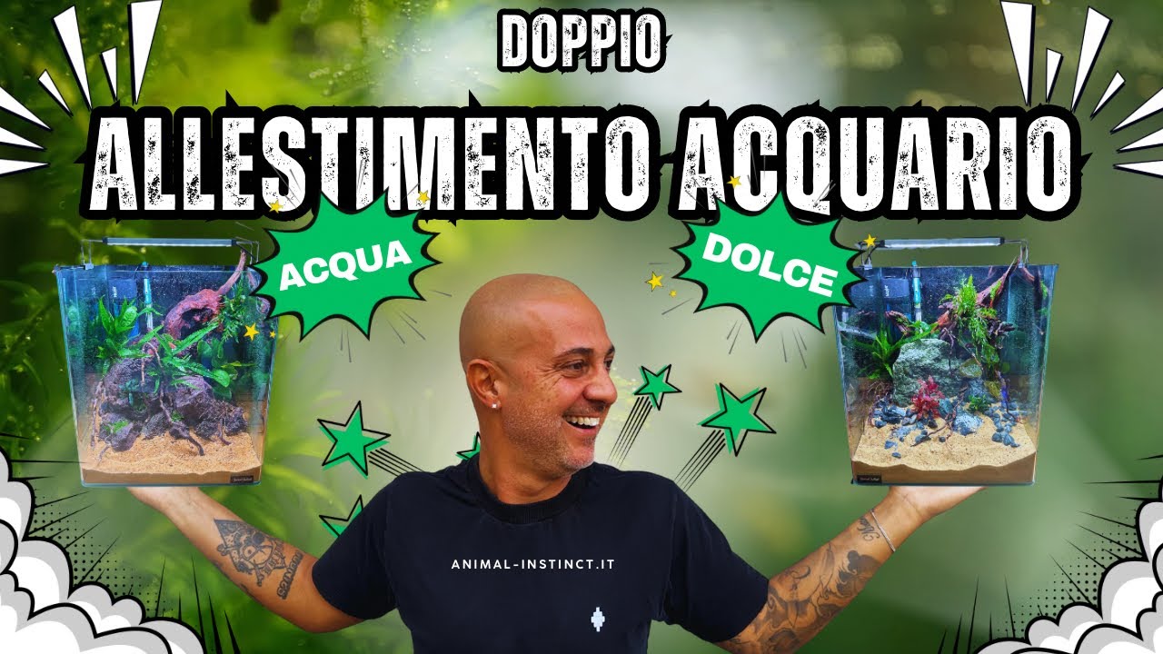 Allestisco un DOPPIO ACQUARIO DI ACQUA DOLCE da zero!!!