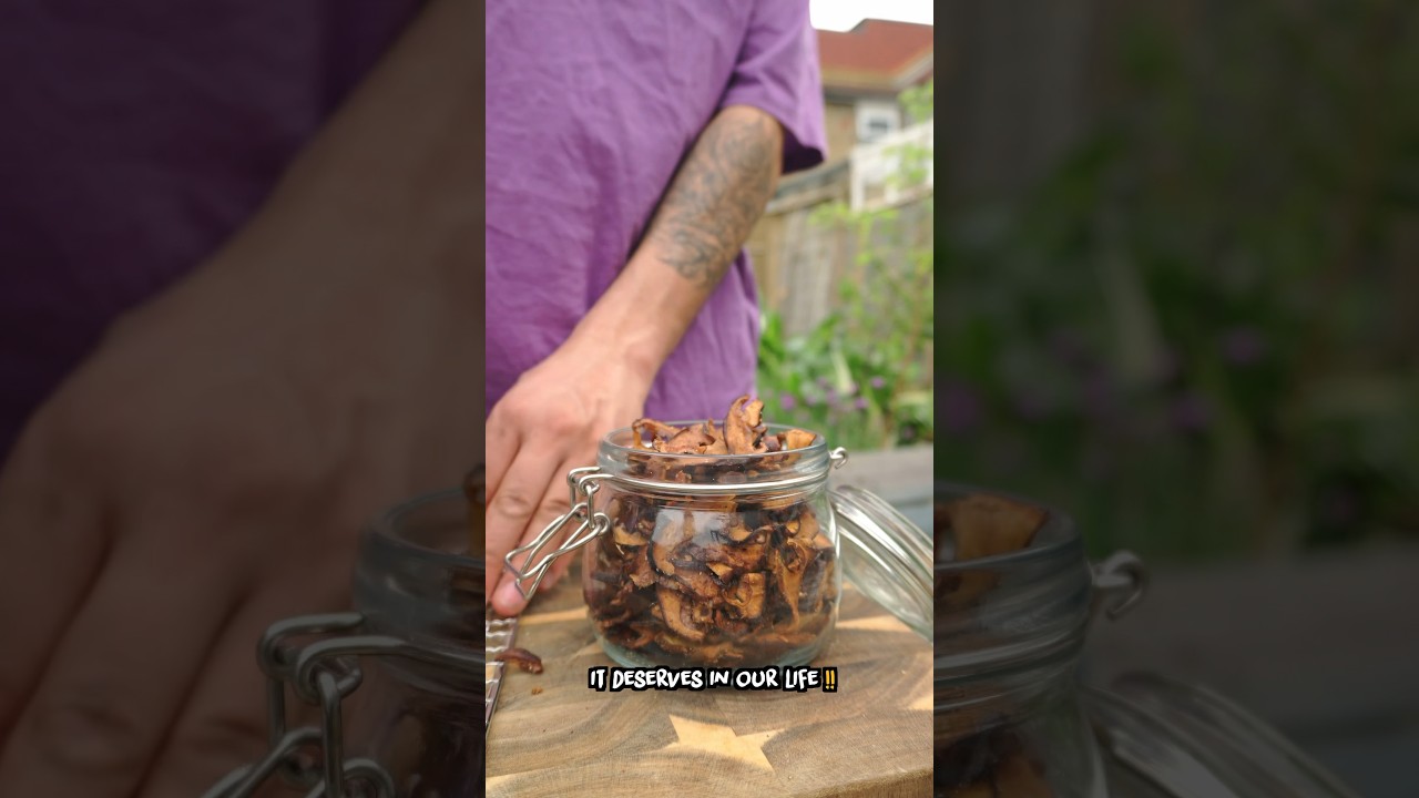 Vegan Jerky 🐃 #shorts